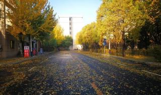 山东城市建设学院