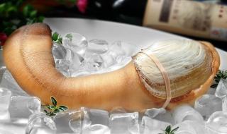 象拔蚌价格 象拔蚌价格