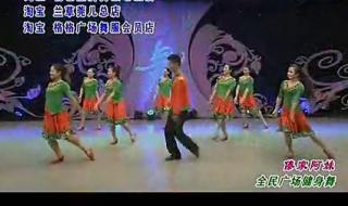 杨艺广场舞第六季 杨艺广场舞第六季