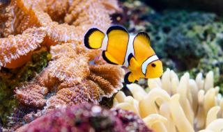 长隆水上乐园情侣票 长隆水上乐园情侣票